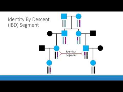 DNA Interest Group | DNA Segments - Triangulate or Exasperate