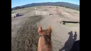 preview picture of video 'Helmet cam Goldquest and Jeanine Allred Preliminary horse challenge woodside may 2014'
