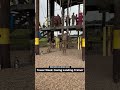 "Airborne School: Swing Landing Mastery!" #fyp #foryou #airborne #army #military
