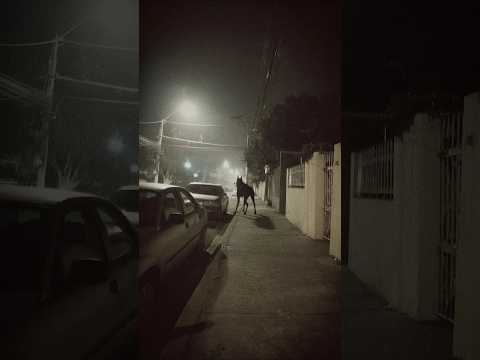 CCTV Camera Captures Chupacabra Lurking In Mexico Suburb
