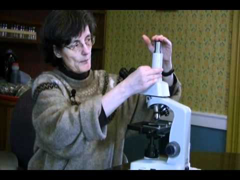 MICROSCOPE SET UP (part 1) INTRODUCTION TO THE MICROSCOPE with Dr. Elaine Ingham - YouTube