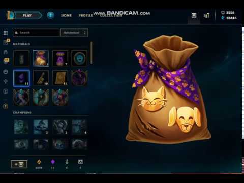 League of Legends Furry Capsule 10x Opening/Reroll