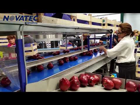 Novatec S.A. - Sorting, Grading & Packing Line for Apples