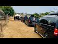 Solly Makamu Xidumbu Xa Mukhegulu Music Video