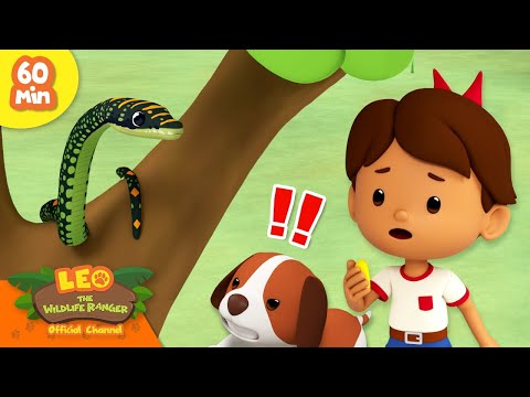 Witness21 Editor  2024 04 13