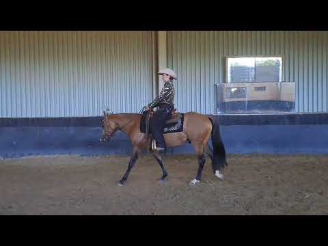 apha pac e show Jun 23 western pleasure merlin dd gunners