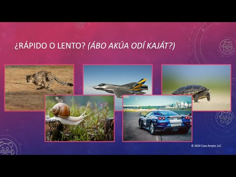 Let's Talk Taíno en español 92 - ¿Rápido o lento? 🏎️🐢