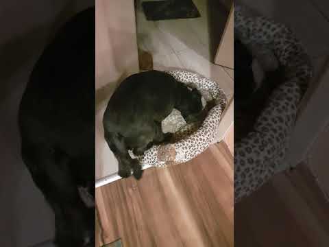 Nie chcę już jeść.