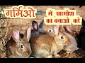 रैबिट को कौन कौन सी बीमारीए लग सकती है R