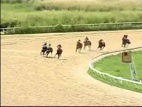 2da carrera Viernes 1 Noviembre 2013 HINAVA