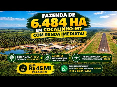 Fazenda à Venda em Cocalinho MT | 6.484 ha Dupla Aptidão e Seringal Ativo