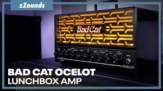 Video thumbnail for Bad Cat Ocelot Lunchbox Guitar Amplifier Head by zZounds