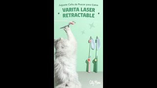 Puntero LÁSER PARA GATOS 🔴 (Juguete Caña de pescar para gatos) | citymiau.pe 💙