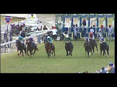 RM29 R5 | Mutzi | M.Nunes