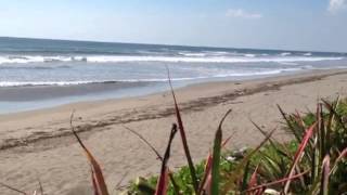 preview picture of video 'Playa San Diego Nicaragua'