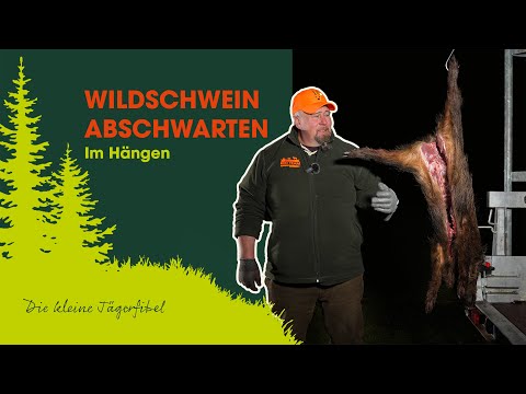 Skinning wild boar: Professional step-by-step instructions for hunters – here's how! | Hunter's G...