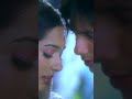 Shahid Kapoor And Amrita Rao Romantic Scenes Valentine Week Special Vivah Best Romantic Scenes