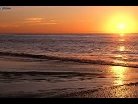 1 Ora di mozart acqua distensione e rilassamento