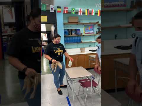 YouTube video