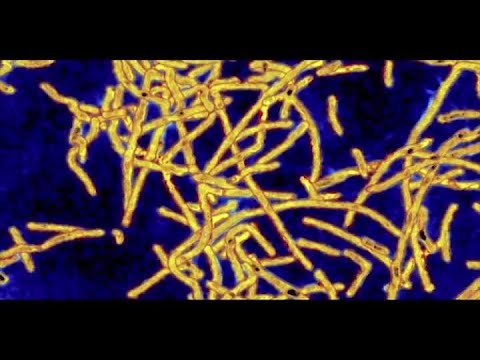 Morning Minute: September 19th, 2019