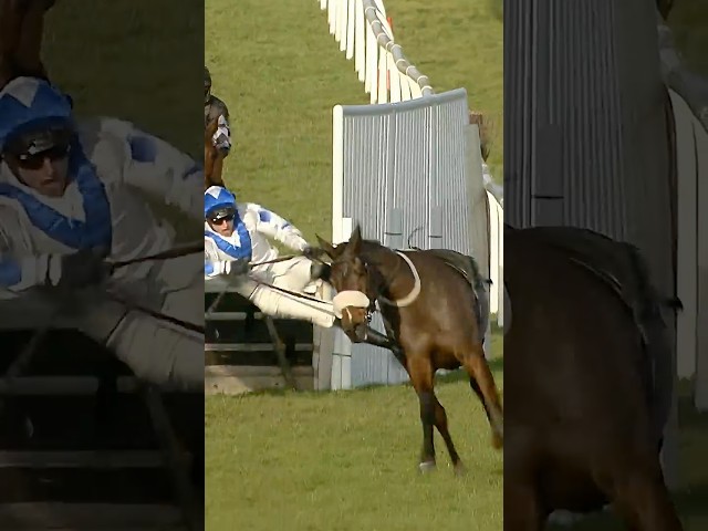 Thumbnail for Post ID: S7-fNfhxC5s