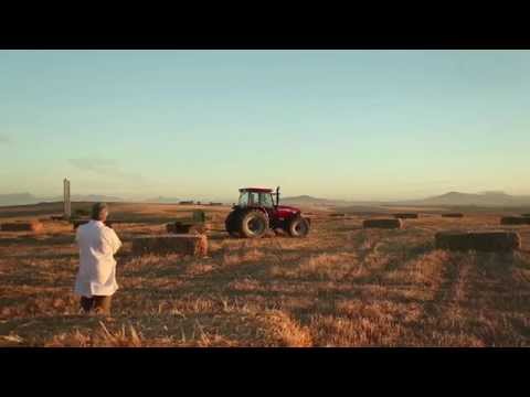 Syngenta - Customer Success Story