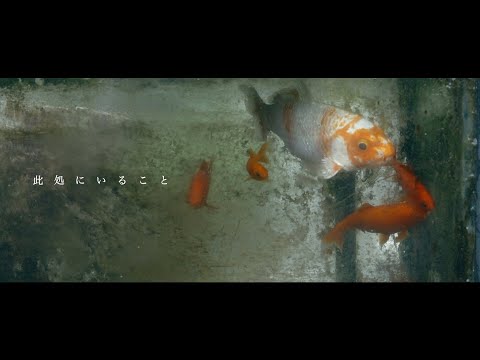 アルストロメリア科 - 定義