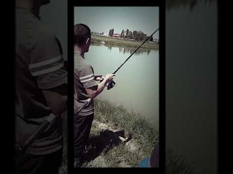 Balta Recas🖒🖒🖒