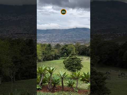 Hay espacios para desconectarnos y conectar con el ambiente. San Cristóbal. Táchira. Venezuela