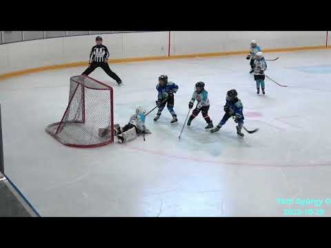 LEHEL HC vs.  Szolnok Orcas