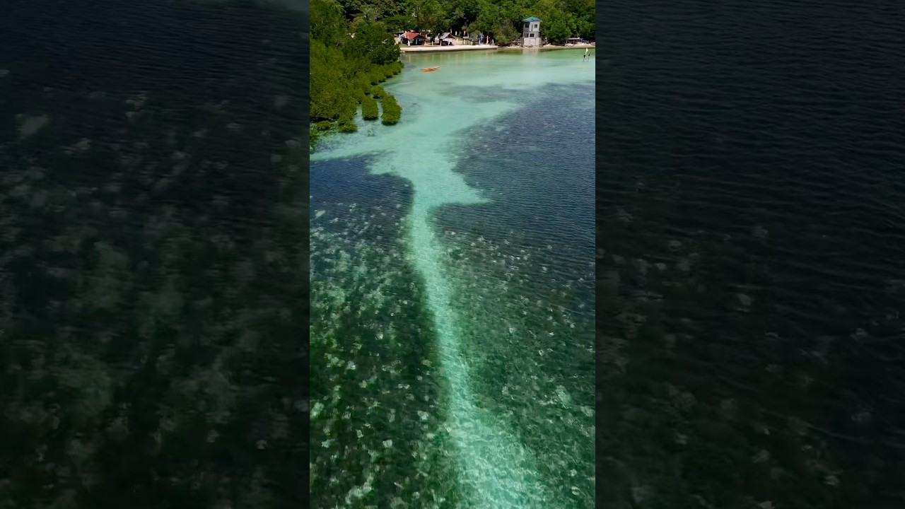 YouTube Short thumbnail