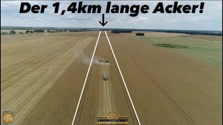 Der 1,4km lange Acker! 1700ha Getreide Großeinsatz Getreideernte Team Westhoff Agrar Roggen Dreschen