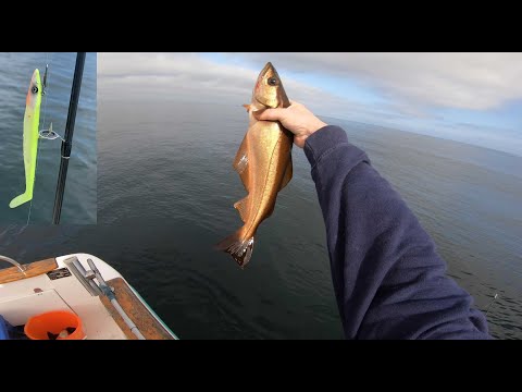 Testing The New Savage Sandeel V2