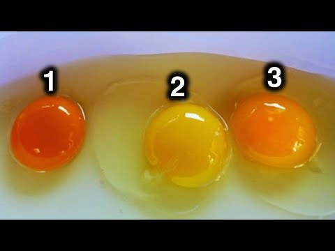 , title : 'Welches Ei stammt deiner Meinung nach von einem gesunden Huhn'