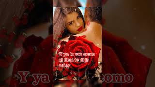 Laberinto Y ya lo ves