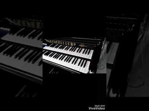 Órgão Digital Acordes TOP ELEGANCE