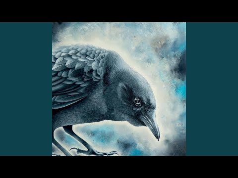 The Transit of Venus Across the Sun