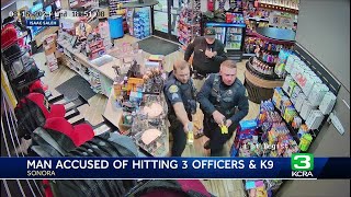 Caught on Video: Man accused of fighting 3 Sonora police offices and their K-9