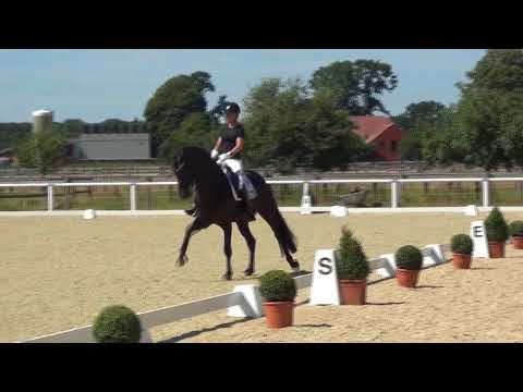 FÜRSTEN-LOOK & Isabel Freese - 2. WM-Sichtung 2018