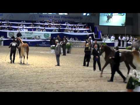 All Nations Cup Aachen 2012