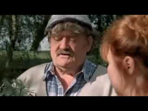 Der Landarzt Neue Wege Staffel 14 Folge 10 Nr 174