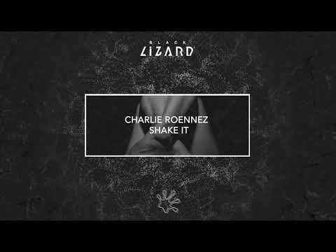 CHARLIE ROENNEZ - SHAKE IT