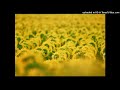 Soma - Stygian Vista