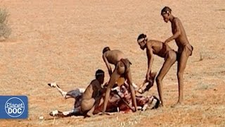 Full Documentary: Hunters and Predators of the Planet