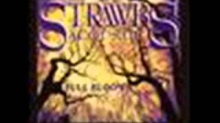 The Strawbs - Deadly Nightshade (with lyrics)