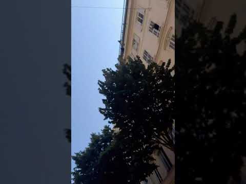 Adam gameur et de retour les gard