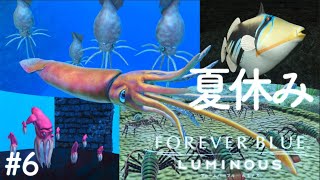 【フォーエバーブルー】夏休み参加型イベントツアー ダイオウイカ【ルミナス】FOREVER BLUE LUMINOUS #6