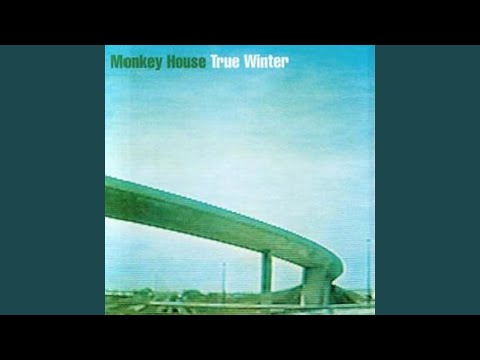 Dear Stranger - Monkey House