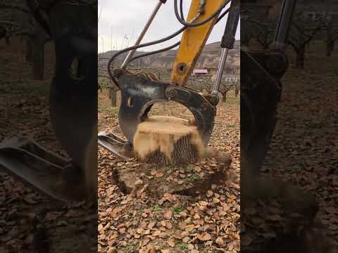 The excavator pulled out the tree stump
