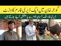 Dairy Farm Visit In Gujarkhan Dairy Farming